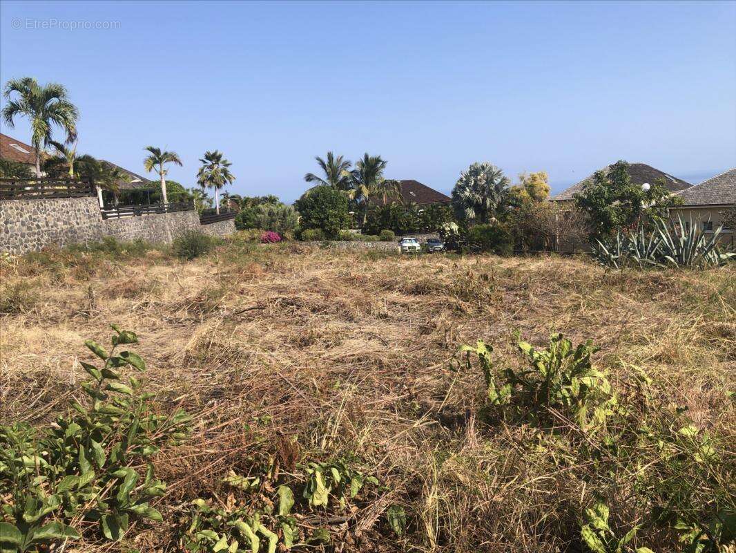 Terrain à SAINT-PAUL