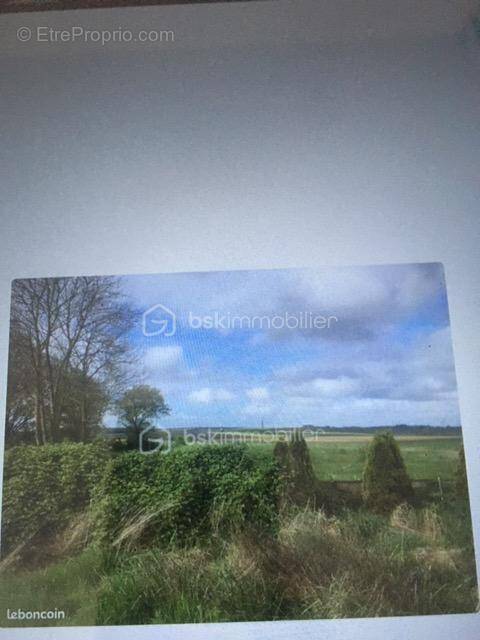 Terrain à WAVIGNIES