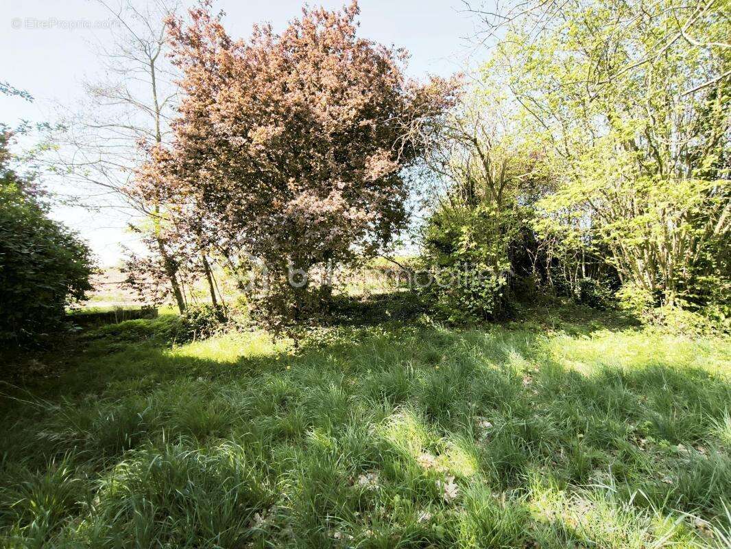 Terrain à ATTAINVILLE