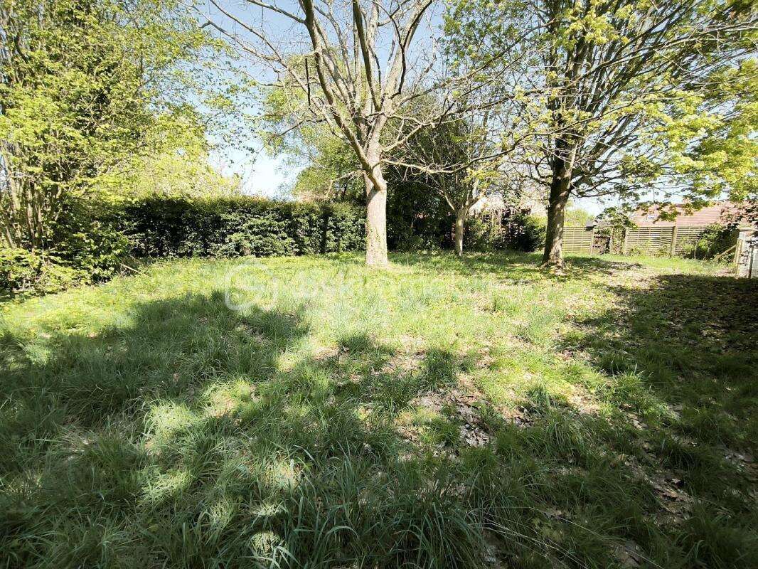 Terrain à ATTAINVILLE