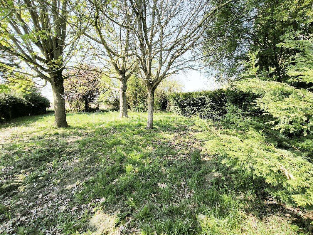 Terrain à ATTAINVILLE