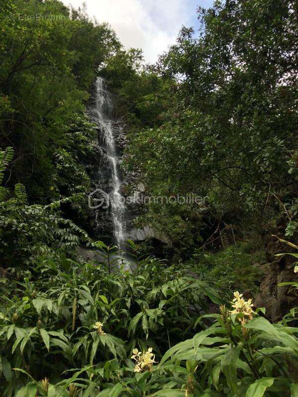Appartement à SAINT-DENIS