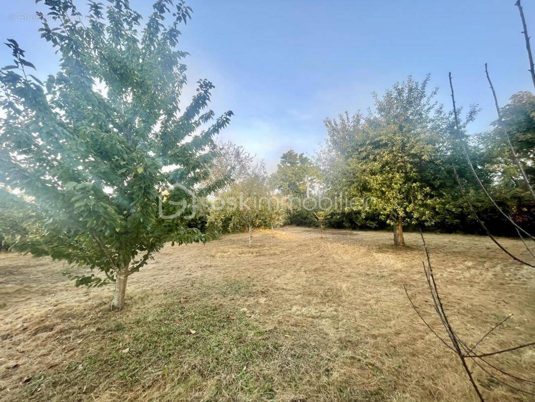 Terrain à CHAUMONT-EN-VEXIN