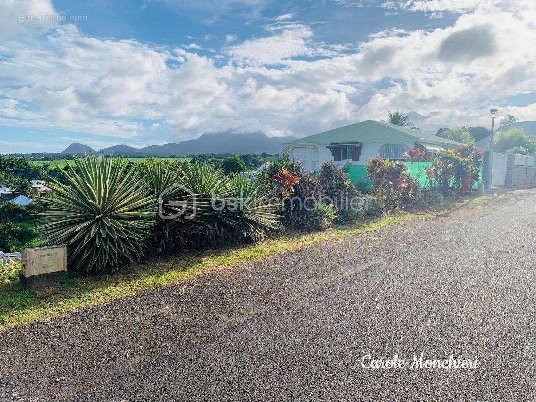 Terrain à CAPESTERRE-BELLE-EAU