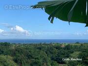 Terrain à CAPESTERRE-BELLE-EAU