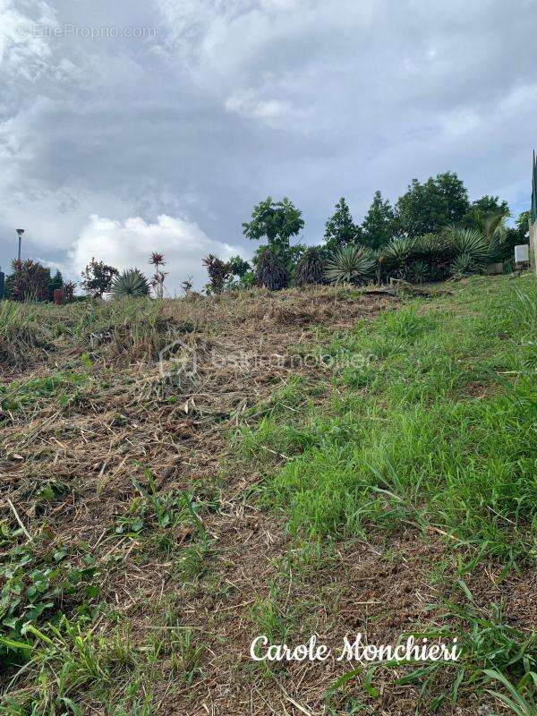 Terrain à CAPESTERRE-BELLE-EAU