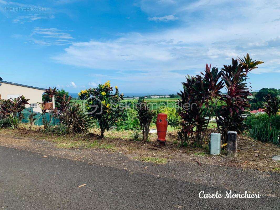 Terrain à CAPESTERRE-BELLE-EAU