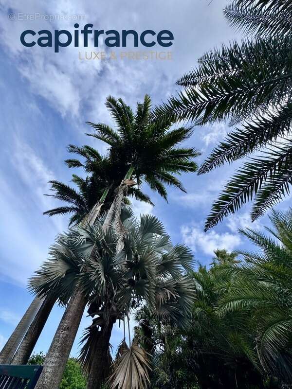 Maison à SAINTE-ANNE