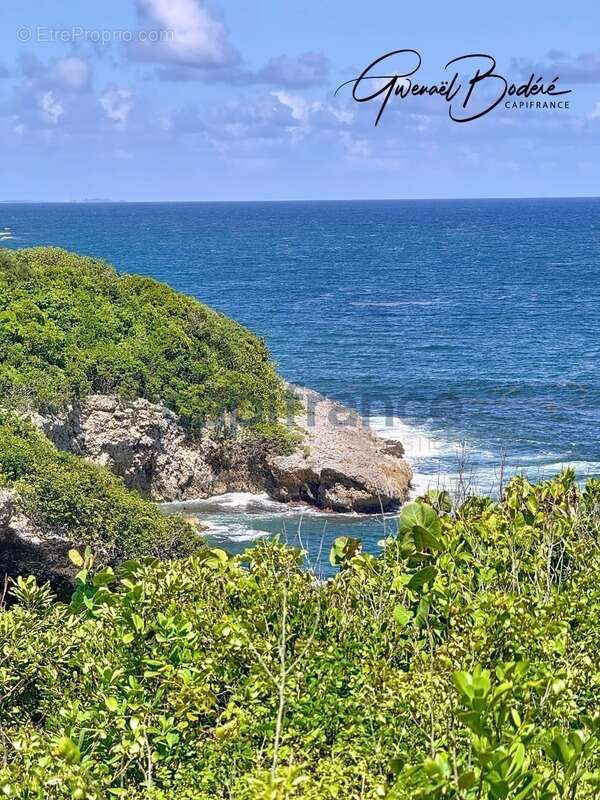 Maison à SAINTE-ANNE