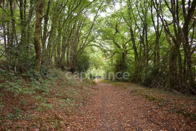 Maison à CRUX-LA-VILLE
