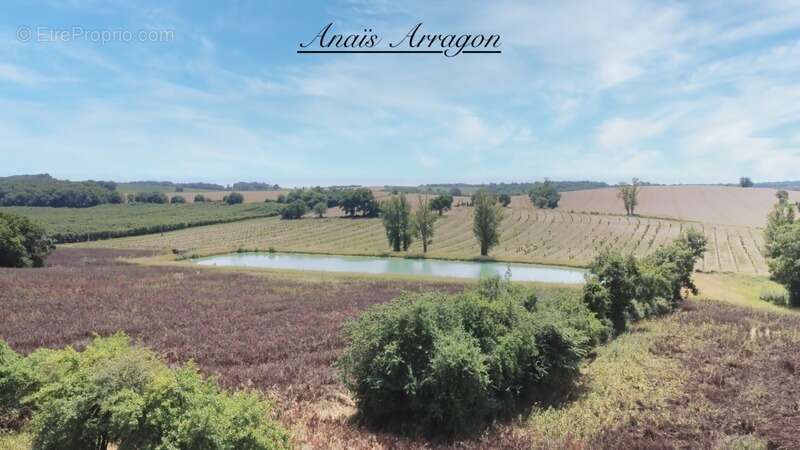 Maison à MONTIGNAC-DE-LAUZUN