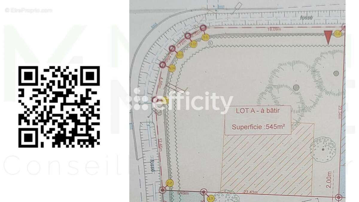 Terrain à VIGNEUX-DE-BRETAGNE