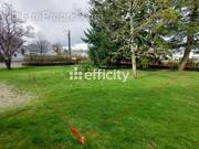 Terrain à VIGNEUX-DE-BRETAGNE