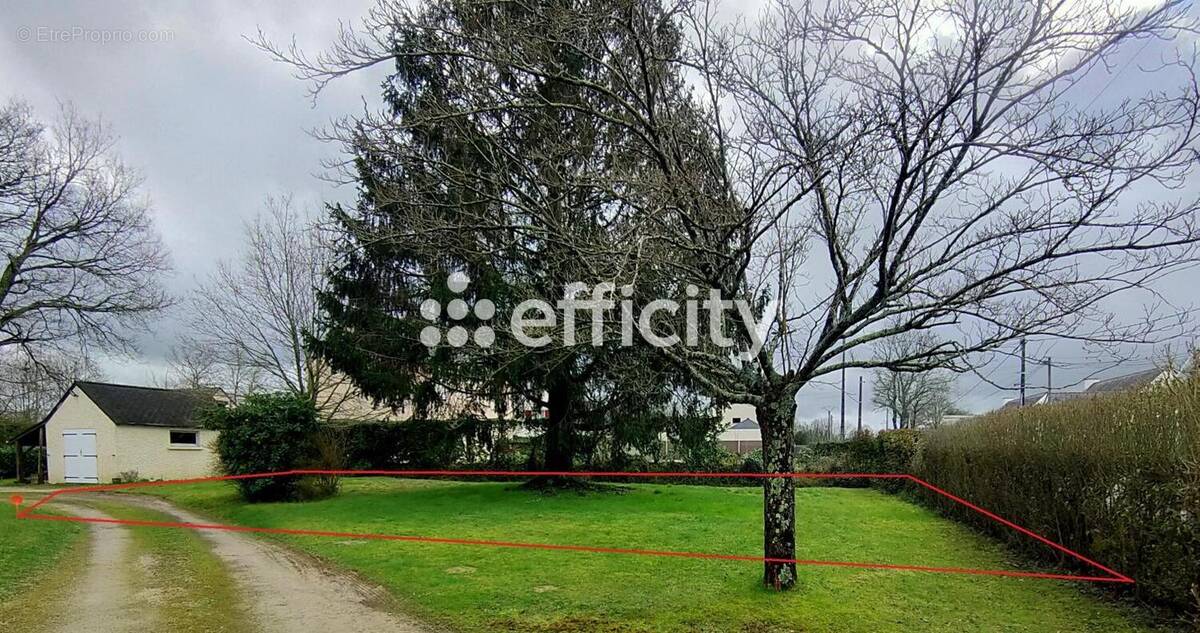 Terrain à VIGNEUX-DE-BRETAGNE