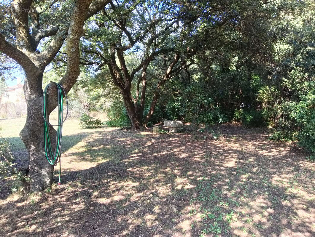 Maison à LES ANGLES