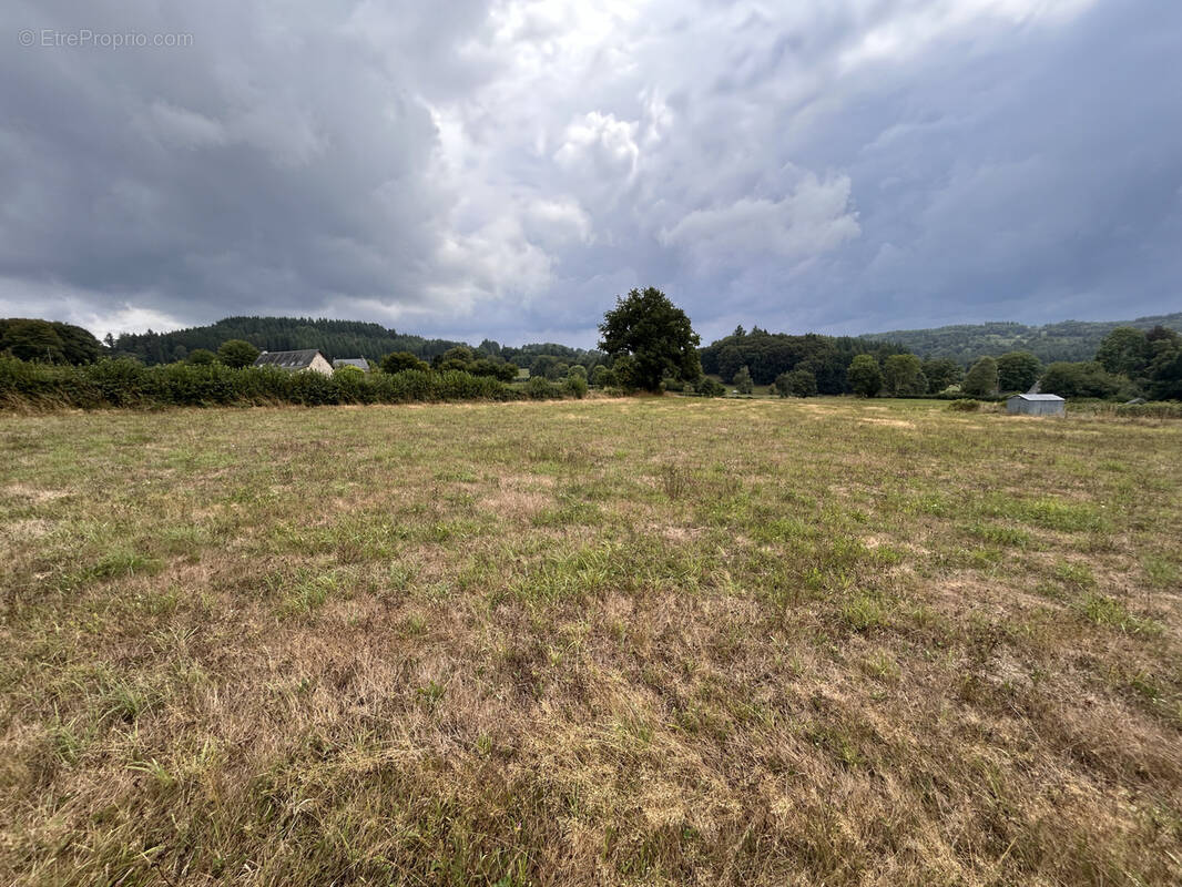 Terrain à SAINT-EXUPERY-LES-ROCHES