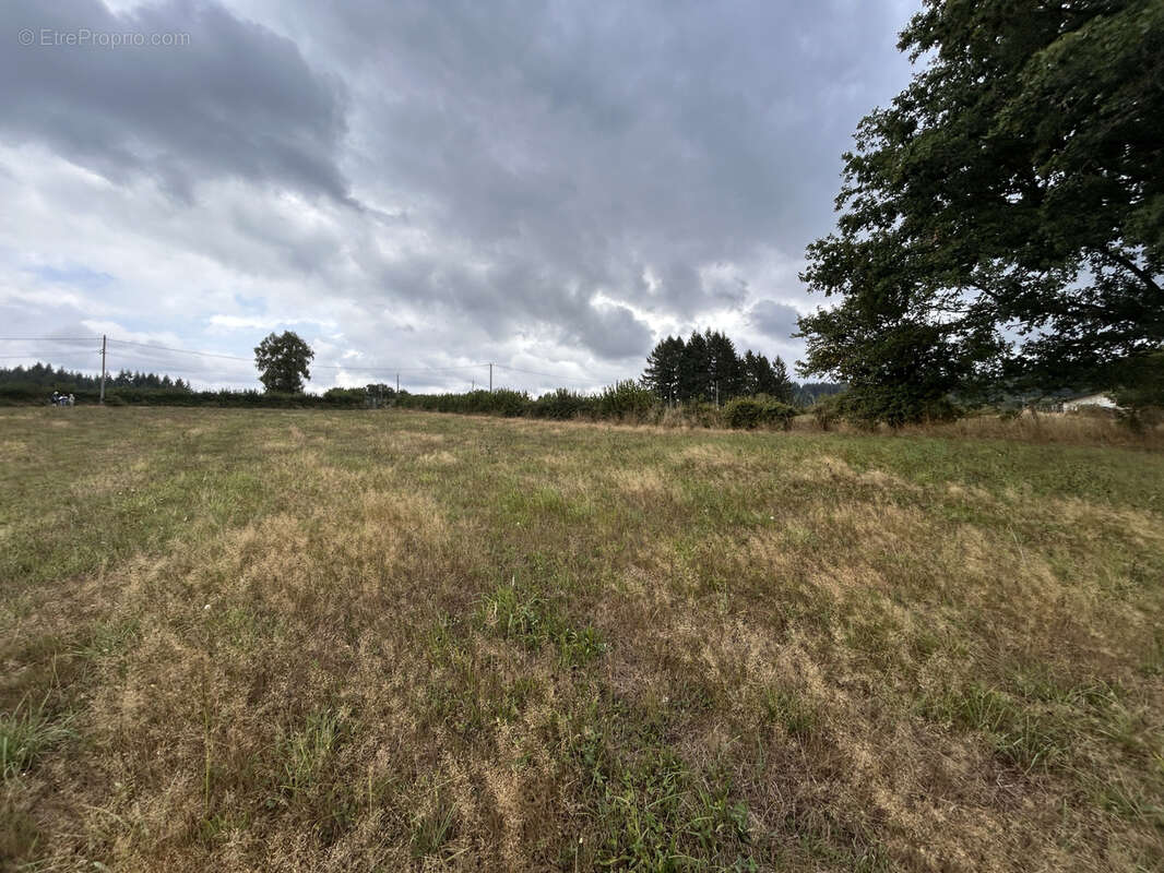 Terrain à SAINT-EXUPERY-LES-ROCHES
