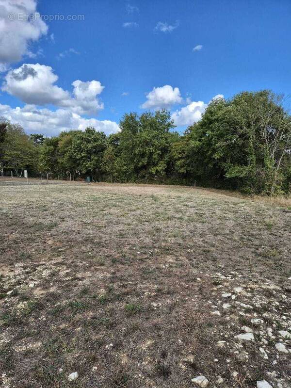 Terrain à CHAMPNIERS