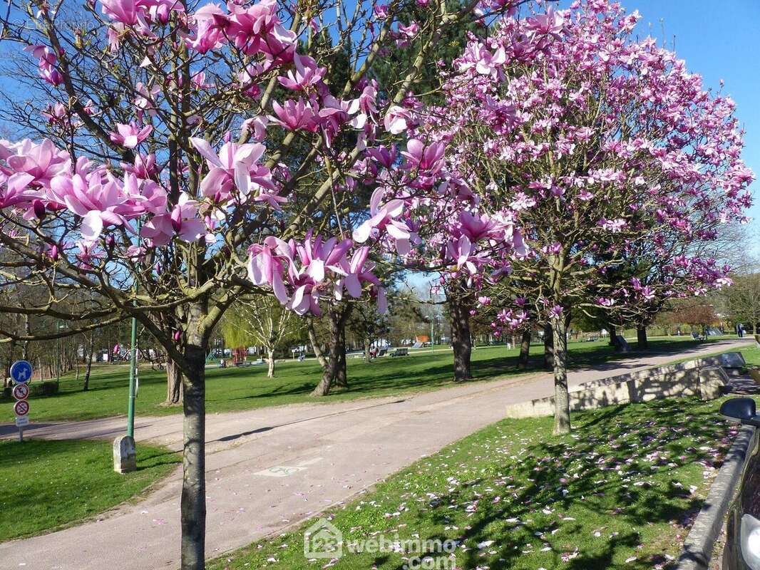 A Bihorel, proche du Parc de l&#039;argilière. - Appartement à BIHOREL