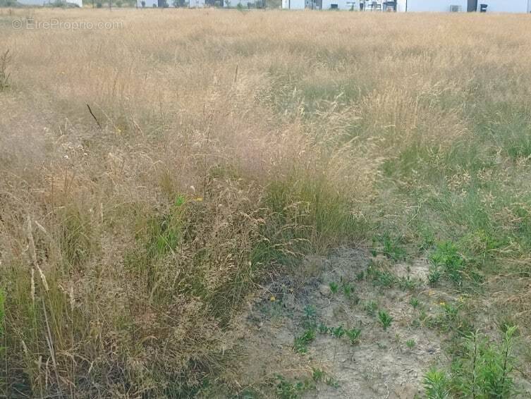 Terrain à SAINT-MATHURIN