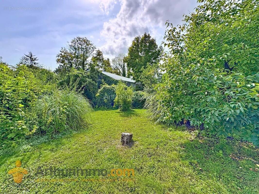 Terrain à BUSSY-LE-CHATEAU