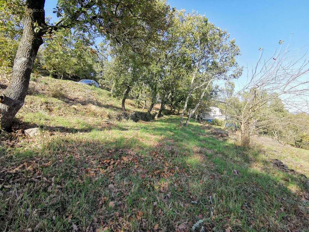   - Terrain à MERCUER