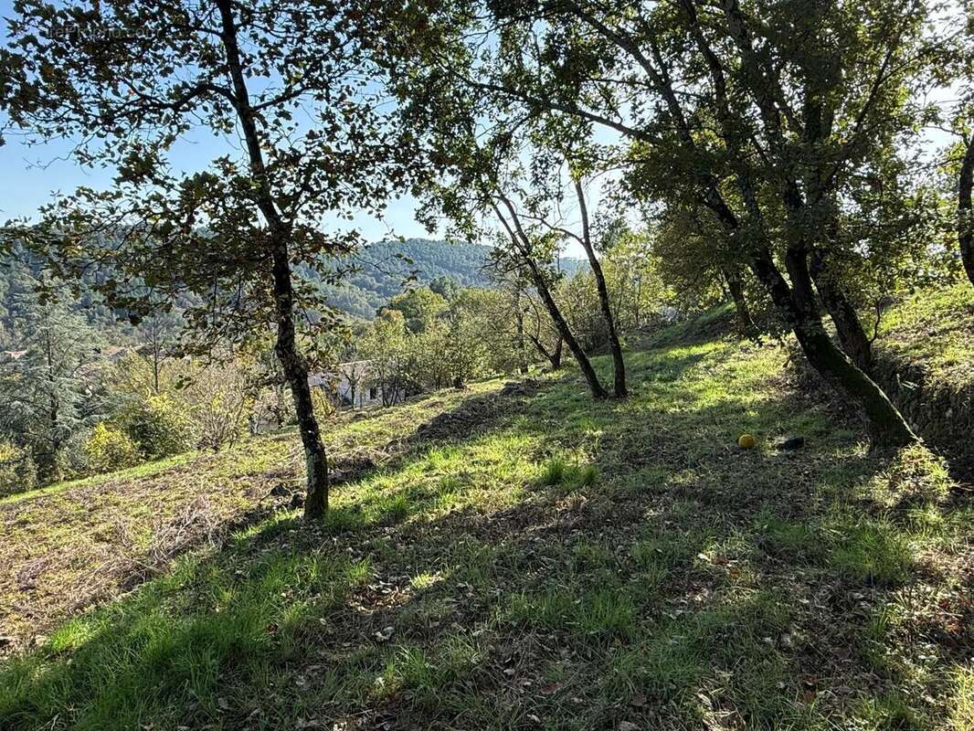   - Terrain à MERCUER