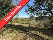   - Terrain à MERCUER