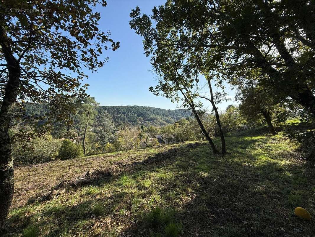   - Terrain à MERCUER