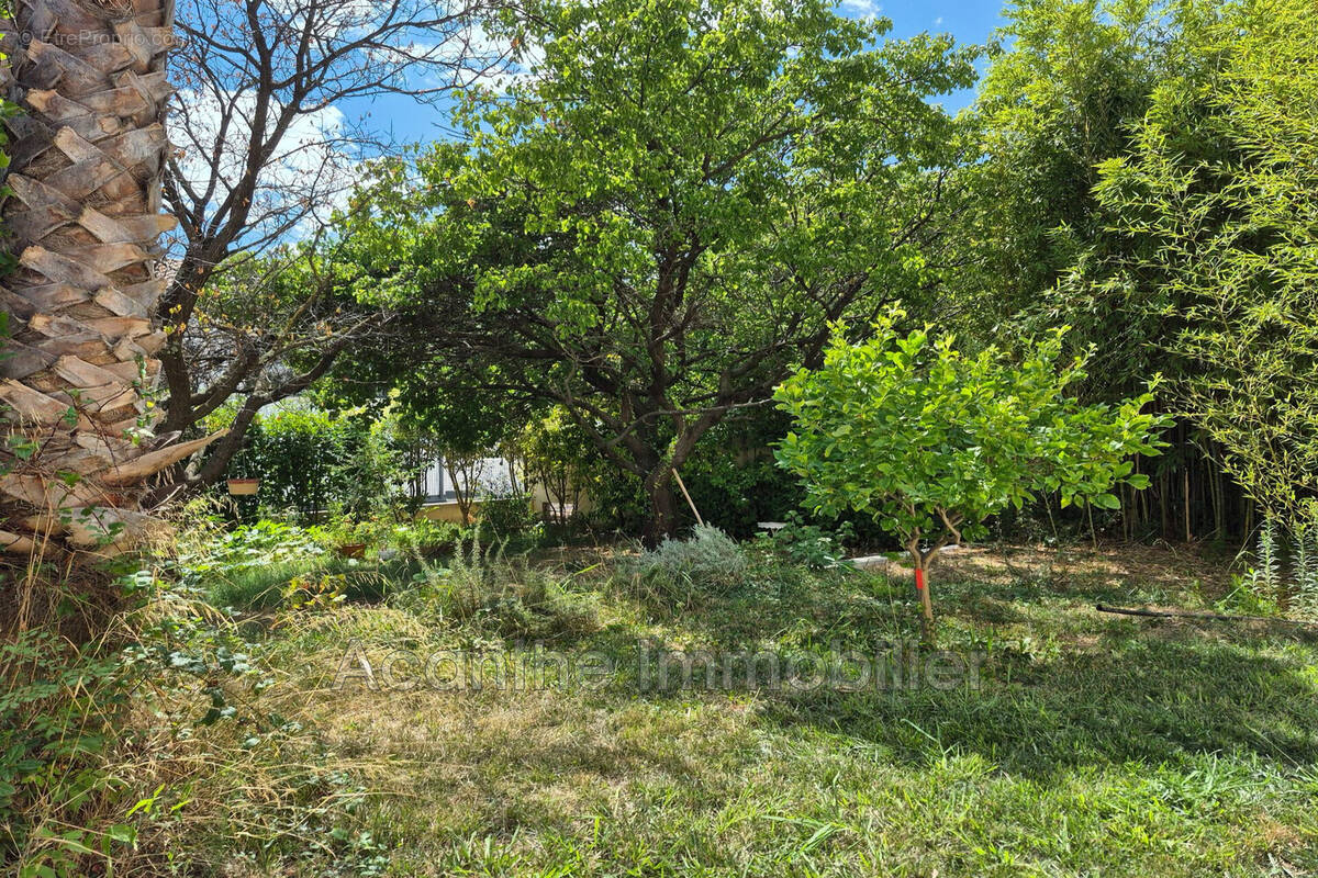Maison à MONTPELLIER