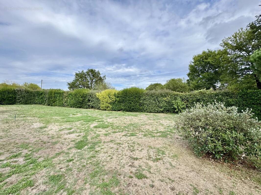 Terrain à PONTENX-LES-FORGES