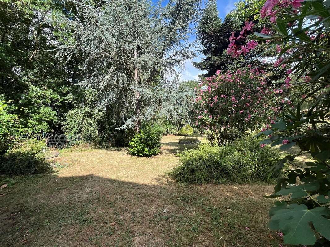 Maison à LA SALVETAT-SAINT-GILLES