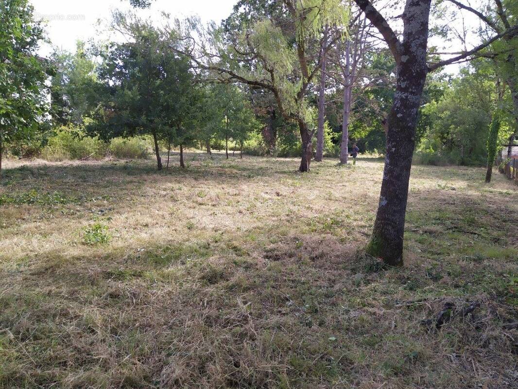 Terrain à LA SALVETAT-SAINT-GILLES