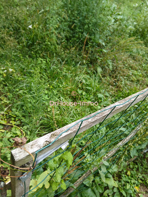 Terrain à SAINT-CYR-SUR-MENTHON