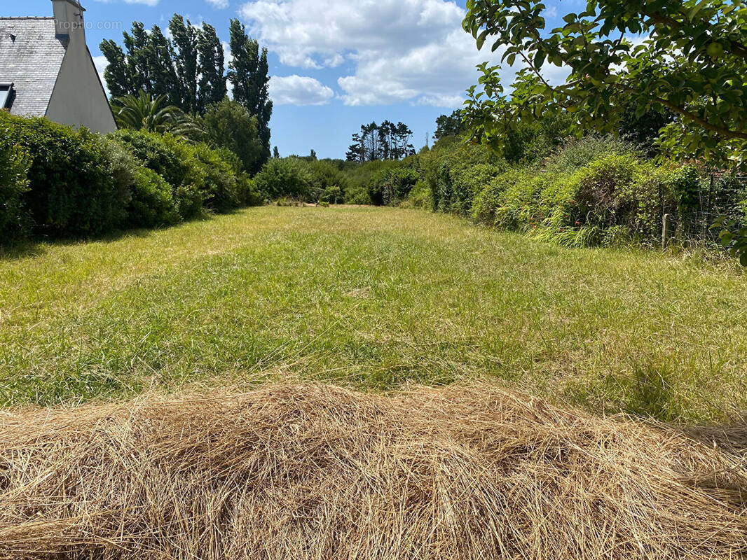 Terrain à LOCTUDY