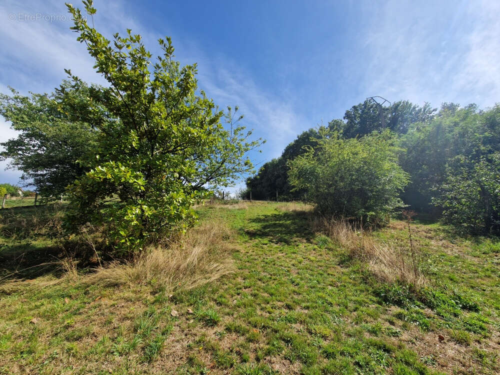 Maison à LA MADELEINE-BOUVET