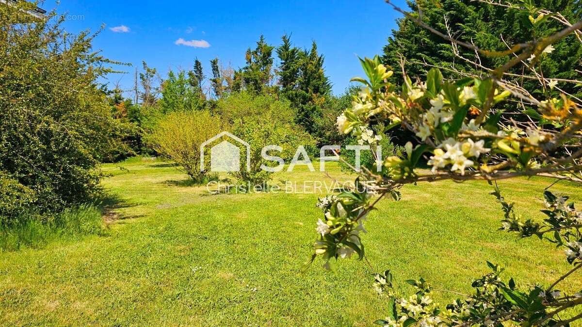 Photo 4 - Maison à CHAMBON