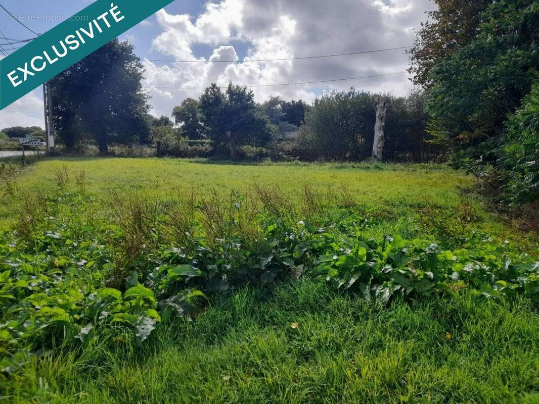 Photo 1 - Terrain à SAINT-JEAN-LA-POTERIE