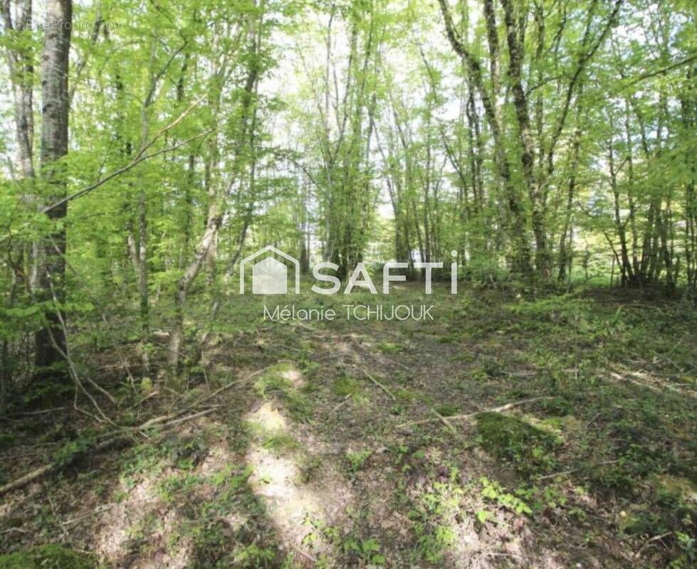 Photo 1 - Terrain à MELLEROY