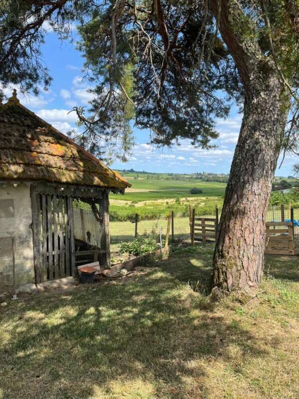 Photo 2 - Maison à MOURENS