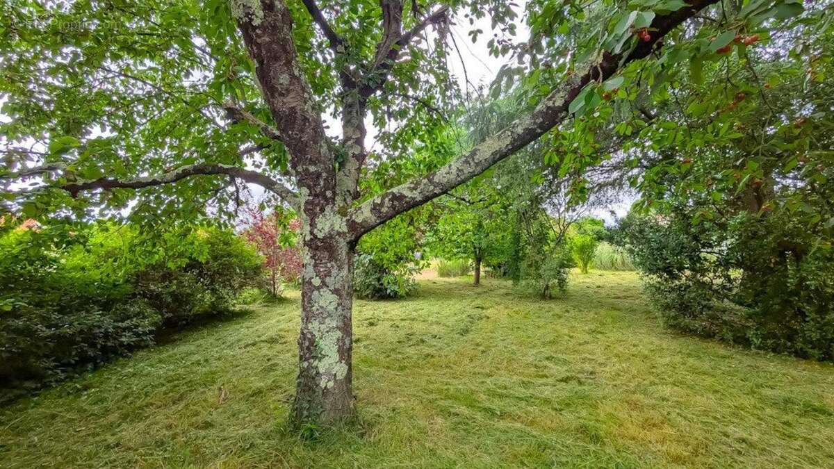 Photo 2 - Maison à ROQUEFORT