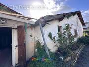 Photo 1 - Maison à BRUGES