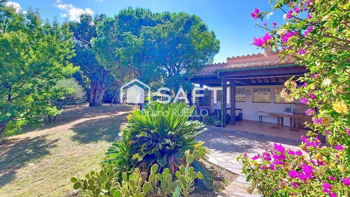 Photo 4 - Maison à MONTESQUIEU-DES-ALBERES