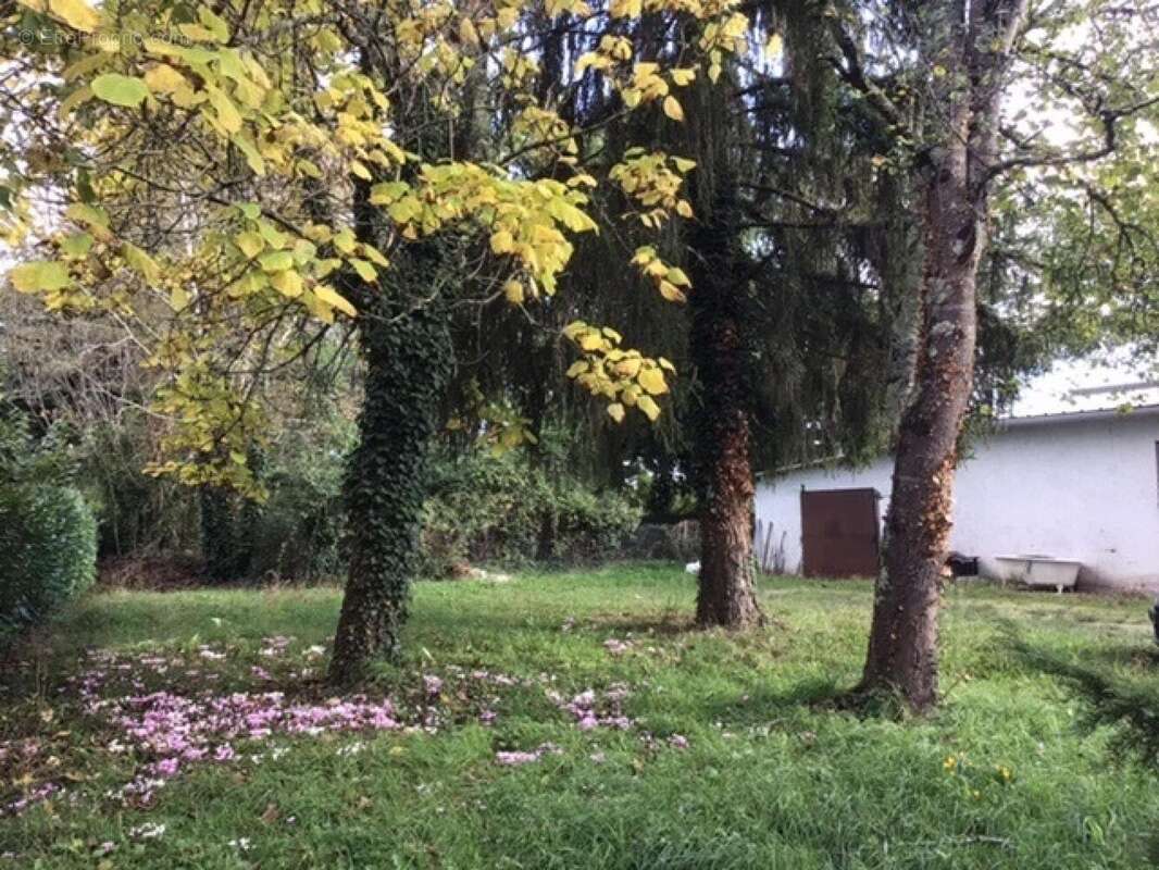 Photo 4 - Commerce à BERGERAC