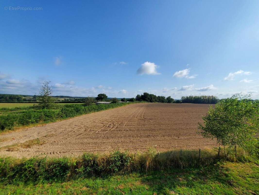 Photo 2 - Maison à GENELARD