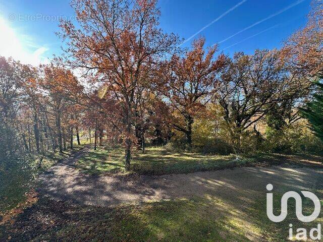 Photo 1 - Maison à SAINT-JEAN-LESPINASSE
