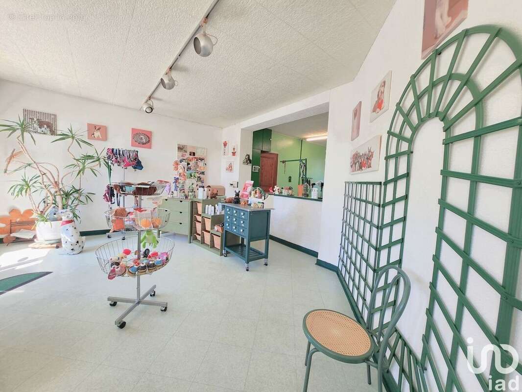 Photo 5 - Commerce à CONFLANS-SAINTE-HONORINE