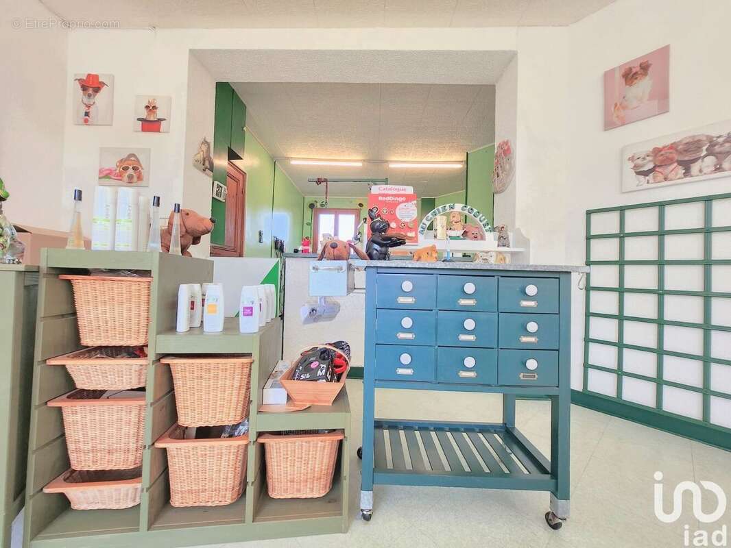 Photo 9 - Commerce à CONFLANS-SAINTE-HONORINE