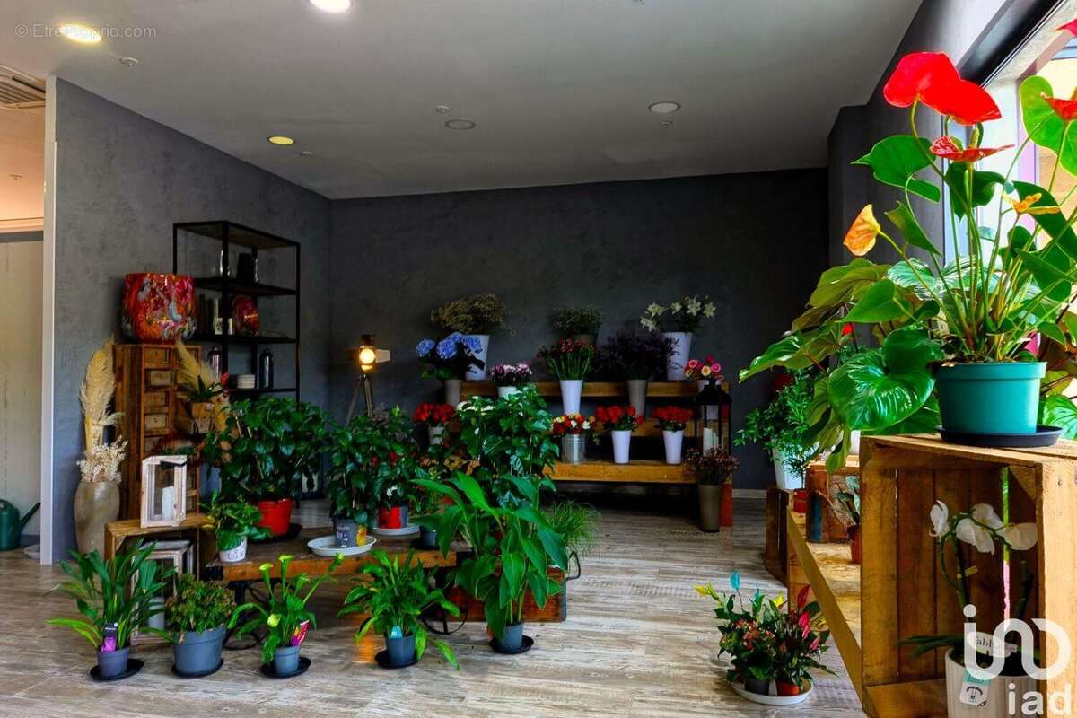 Photo 2 - Commerce à LE CANNET-DES-MAURES