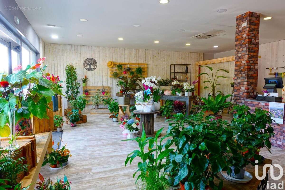 Photo 3 - Commerce à LE CANNET-DES-MAURES